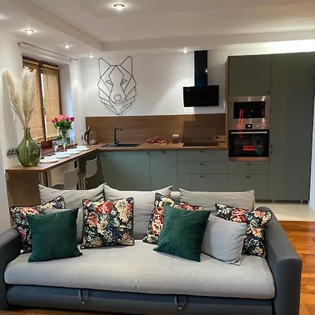 Sauna Infrared 2 شقة شتشيتسين